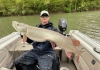Chase Gibson, of Mount Clare, caught a 54.0625-inch, 39.64-pound musky at Burnsville Lake, breaking the previous record for length.