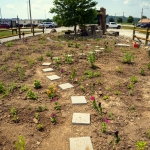 Pollinator Garden at Toyota Plant