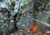 Fire travels through a boulderfield in Pendeleton County. (Photo courtesy W.Va. Dept. of Commerce)