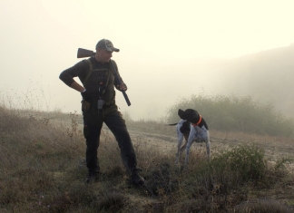 A hunter and his hound venture out on a misty morning hunt.