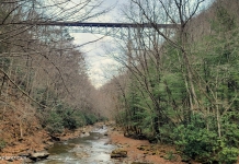 The Phil G. McDonald Bridge in the New River Gorge National River.