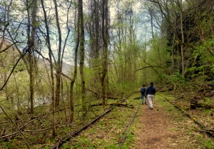 Hikers follow the Southside Trail along the New River in its gorge.