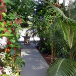 Conservatory at Huntington Museum of Art