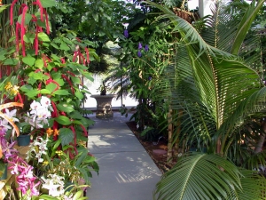 Plants fill the C. Fred Edwards Conservatory at Huntington Museum of Art. 