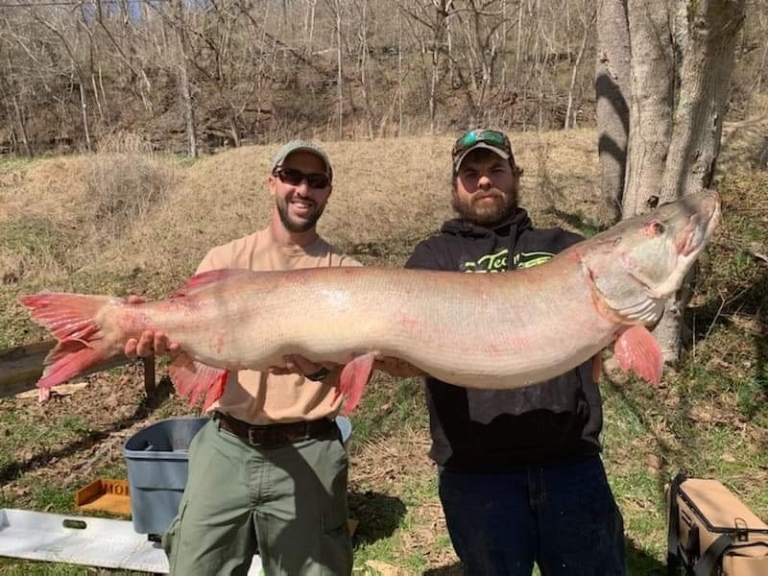 Angler catches W.Va. record muskie in Braxton County