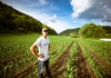 A farmer stands in a West Virginia garden.