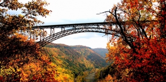 The New River Gorge Bridge spans an autumn wonderland.