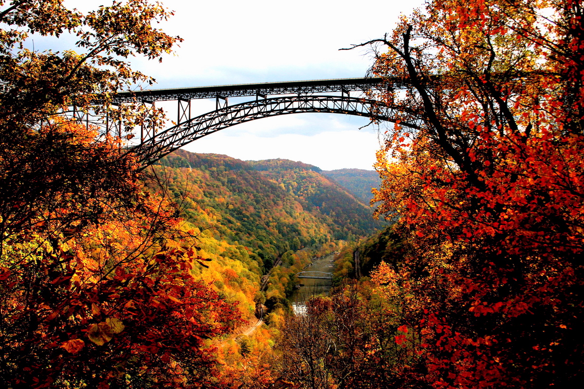 The New River Gorge Bridge spans an autumn wonderland.
