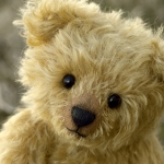 Teddy Bear by Oxana Lyashenko
