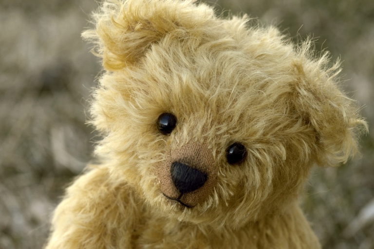 Did the world's first teddy bear come from the forests of West Virginia?