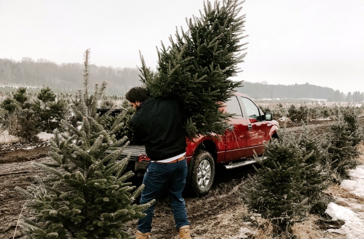 There are good reasons to opt for a live Christmas tree this year, ideally sourced in West Virginia.