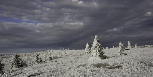 Ice and snow lay thick at the Allegheny Front at Dolly Sods.