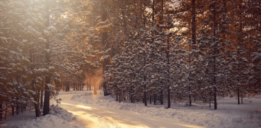 Winter by Timothy Eberly 1