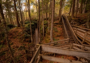 An elaborate series of boardwalks explores part of Beartown State Park.