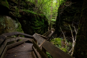 Beartown is a favorite getaway for lovers of geology and ecology.