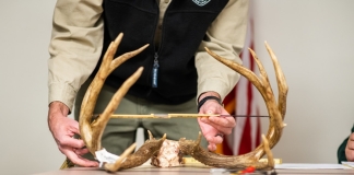 A show sponsor measures a deer rack at the W.Va. Hunting and Fishing Show. (Photo courtesy W.Va. Dept. of Commerce)