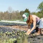 Farmer planting in West Virginia