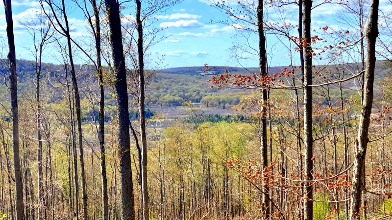 Canaan Valley Wetlands in West Virginia