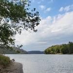 Wilderness along the Ohio River