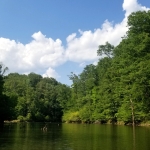 Dents Run Wildlife Management Area