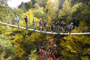 A group walks a bridge on a canopy tour