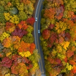 Autumn leaves in the Canaan Valley