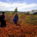 Hikers at Dolly Sods