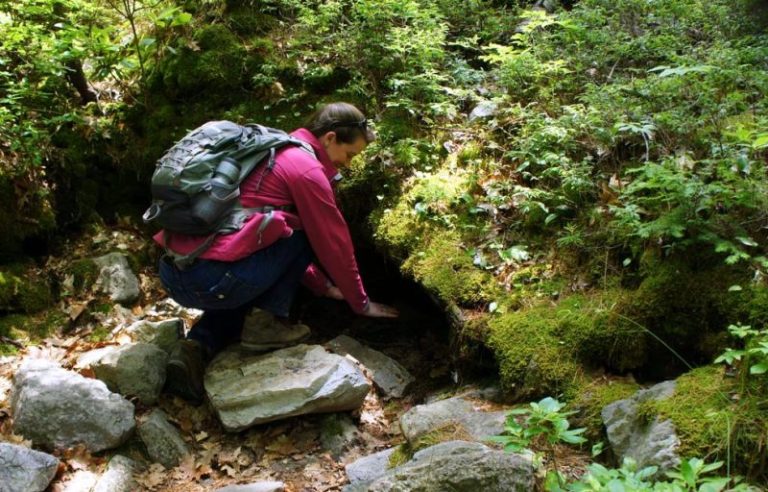 Visitor At Ice Mountain in West Virginia