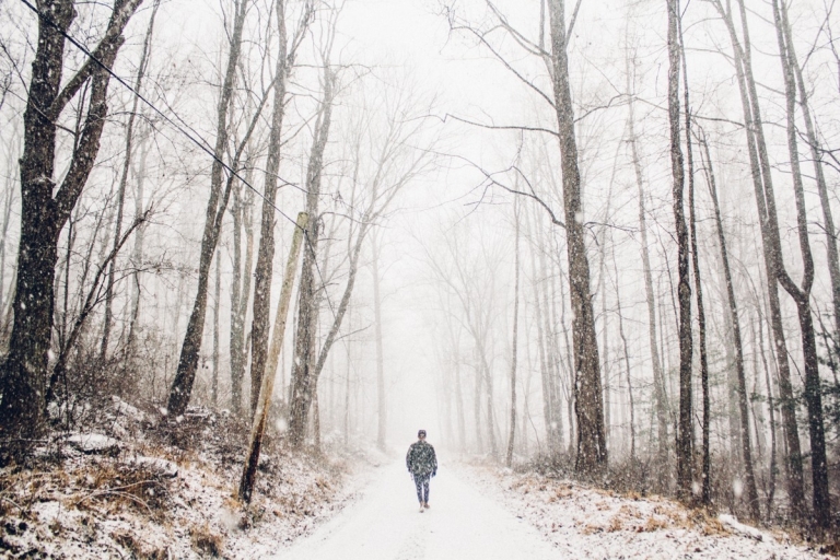 Five reasons West Virginia is an ultimate winter hiking destination
