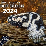 West Virginia Wildlife Calendar 2024