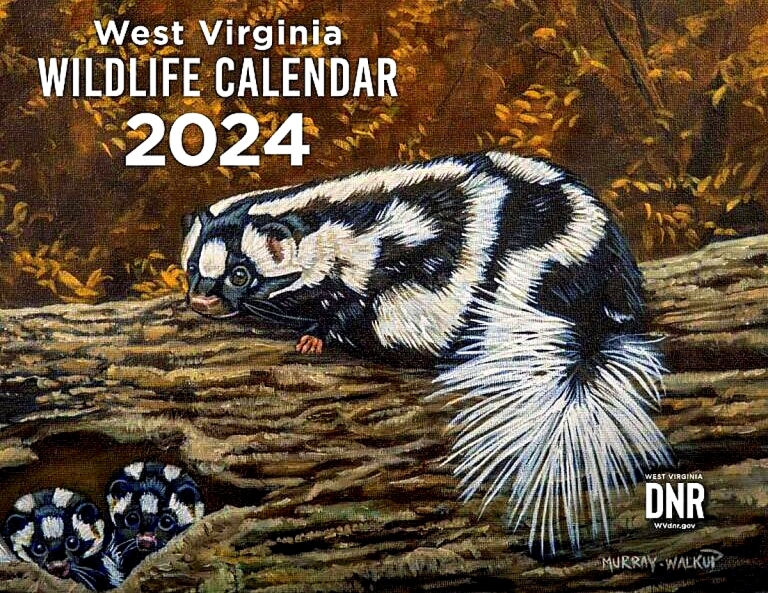 State seeks art for 40th edition of West Virginia wildlife calendar