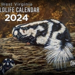West Virginia Wildlife Calendar 2024