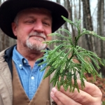 David Sibray holds sprig of ground pine