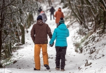 Hikers walk a snowy trail