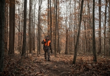 Hunting in West Virginia forest