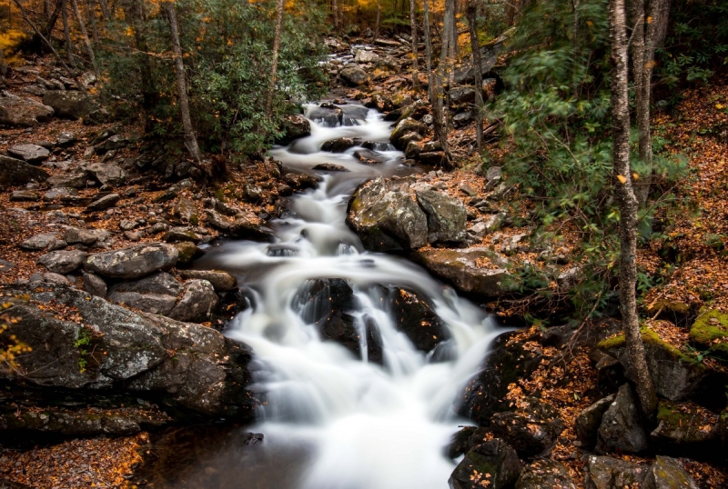 Clean streams in West Virginia