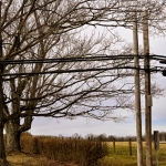 Power Lines in West Virginia