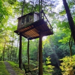 Treehouse at Mill Creek Falls
