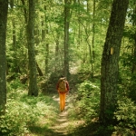 Hiker on Allegheny Trail