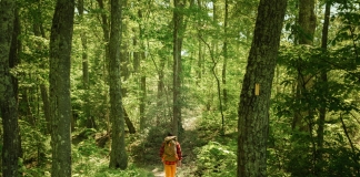 Hiker on Allegheny Trail