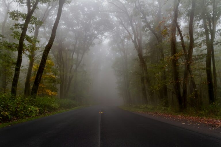 A mountain road disappears into the fog in West Virginia's George Washington National Forest. (Photo by Becky Winner/Unsplash)