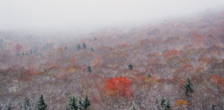 2024 first snowfall at Snowshoe Mountain