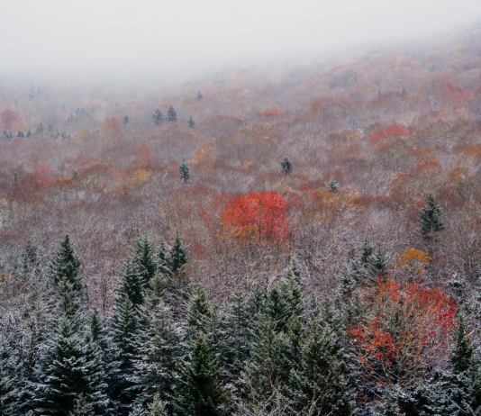 2024 first snowfall at Snowshoe Mountain