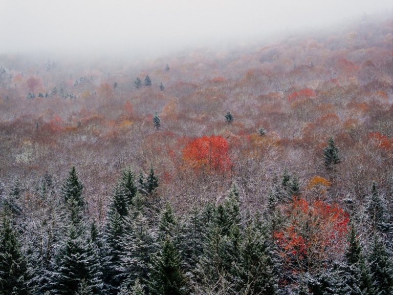 Snowshoe Mountain ski resort to open 50th season Nov. 27, 2024