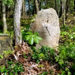 Ellicot's Line Boundary Markers