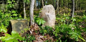 Ellicots Line Boundary Markers