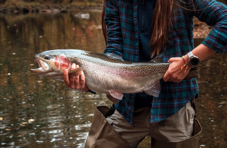 West Virginia stocks monstrous trophy-sized trout in 44 lakes, streams