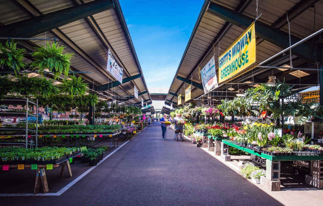 Capitol Market In Charleston West Virginia