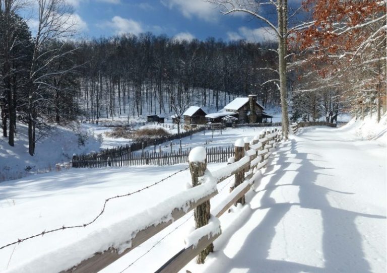 Twin Falls Homestead