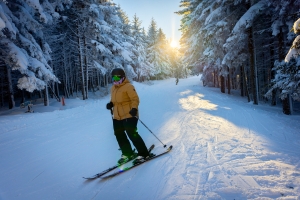 Winter in the Canaan Valley